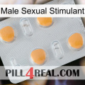 Male Sexual Stimulant 24